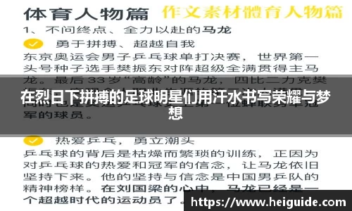 三亿体育有限公司